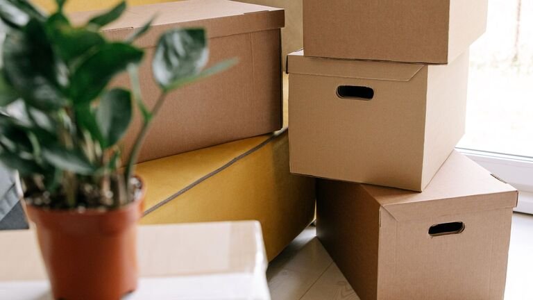Una planta en maceta junto a cajas de cartón preparadas para guardar, algo que no debe ir al almacén